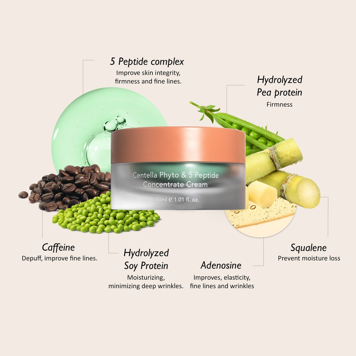 Haruharu Wonder : Phyto & 5 Peptide Concentrate Cream