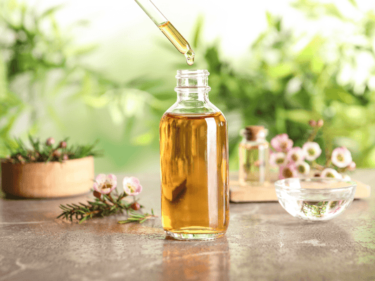 Thé Vert Pour la Peau : Ce Que Les Dermatologues Ne Vous Disent Pas - PIBUKARE