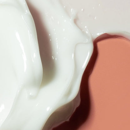Haruharu Wonder : Phyto & 5 Peptide Concentrate Cream