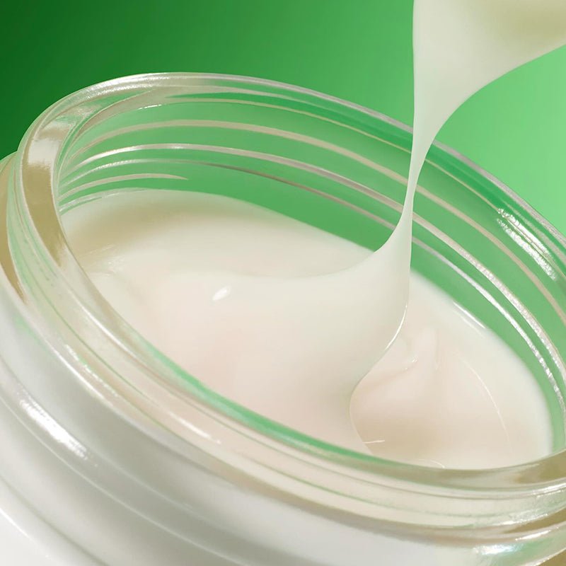 Innisfree : Green Tea Seed Hyaluronic Cream