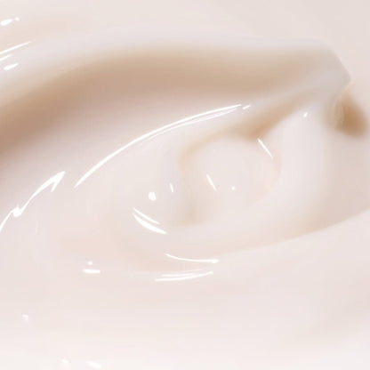 Innisfree : Jeju Orchid Enriched Cream