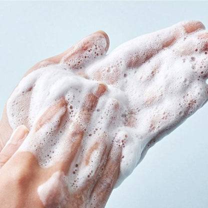 Round Lab : 1025 Dokdo Cleanser