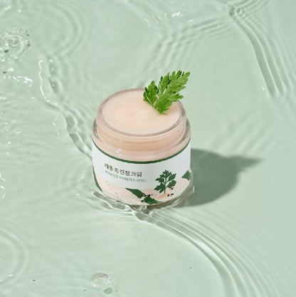 Round Lab : Mugwort Calming Cream
