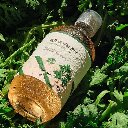 Round Lab : Mugwort Calming Toner